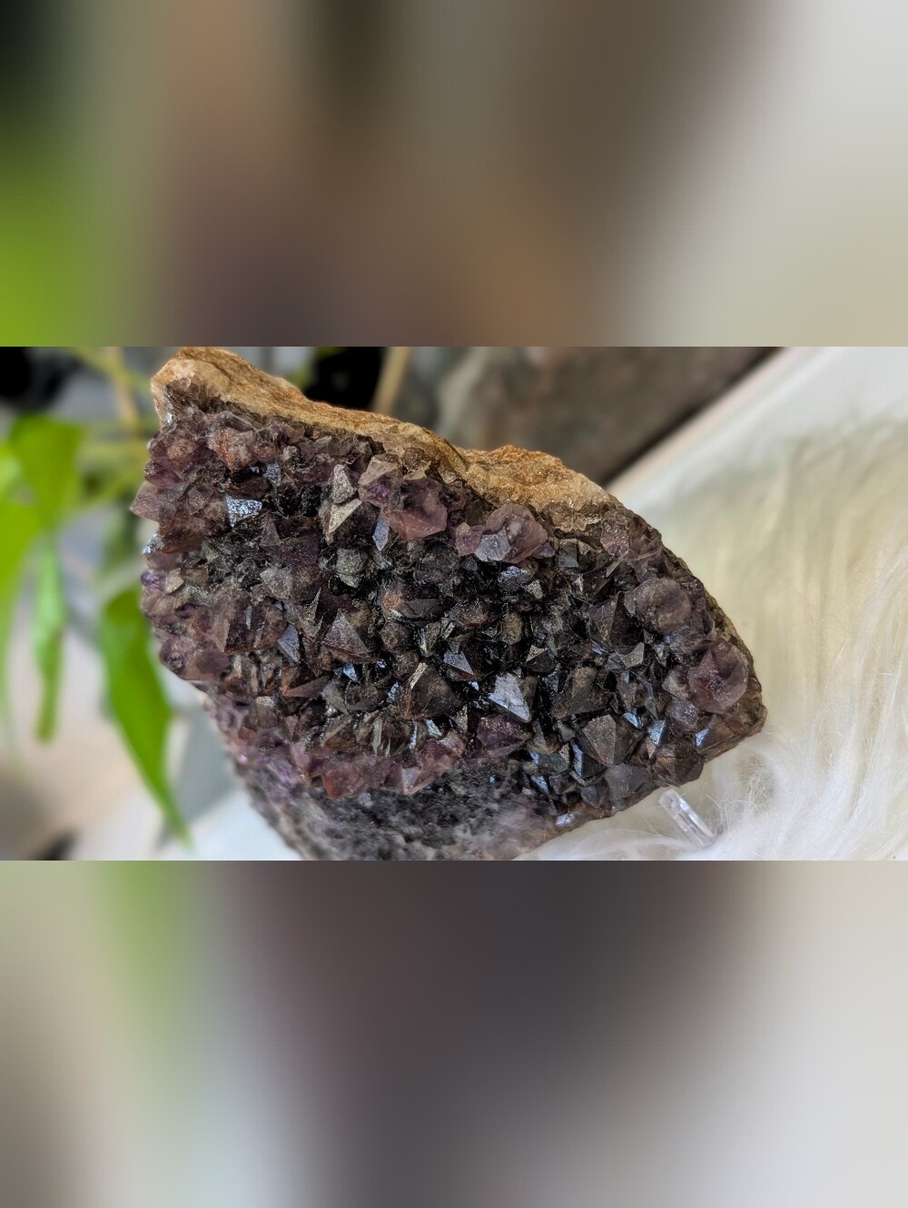 Thunder Bay Smokey Amethyst Crystal Cluster